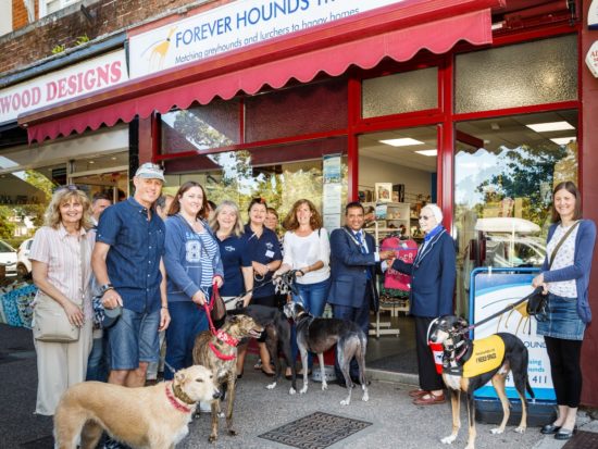 Opening of Greyhound Trust Charity Shop, Haywards Heath