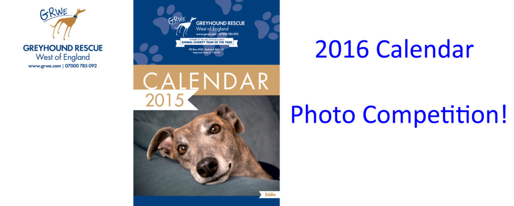 2016 Calendar Competition