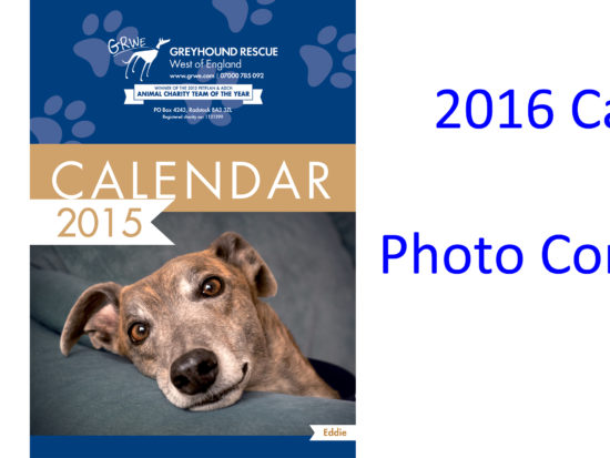 2016 Calendar Competition