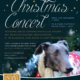 Bath Christmas Concert Poster