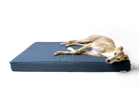 Memory Foam Dog Bed