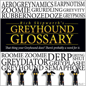 Greyhound Glossary book