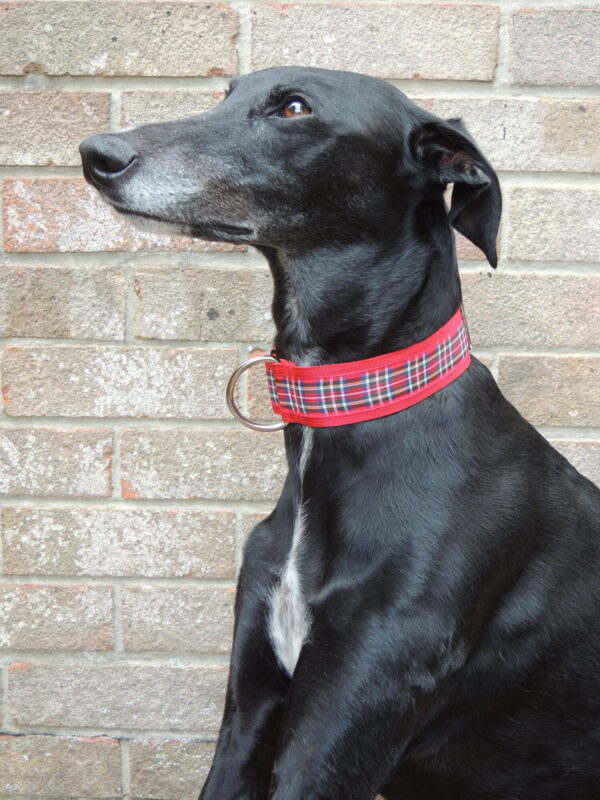 Luxury walking collar - Red tartan - Image 3