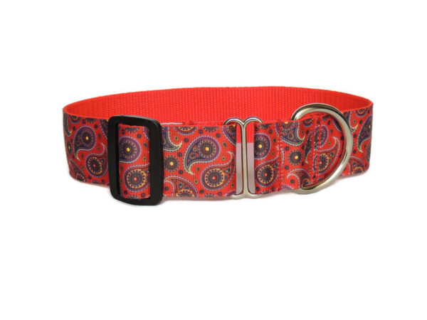 red paisley walking collar