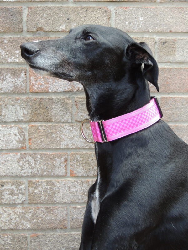 Everyday walking collar - Pink check - Image 2