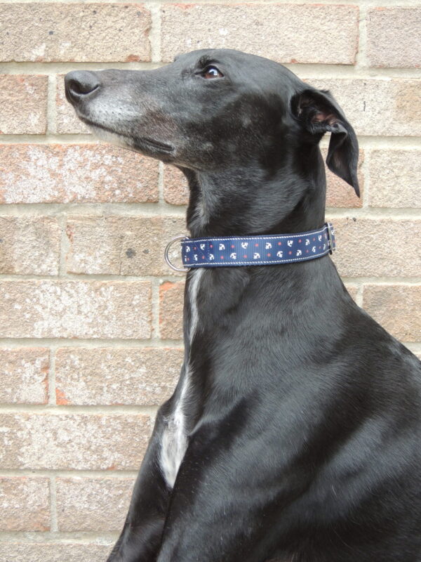 Luxury 'In the navy' house collar - Image 3