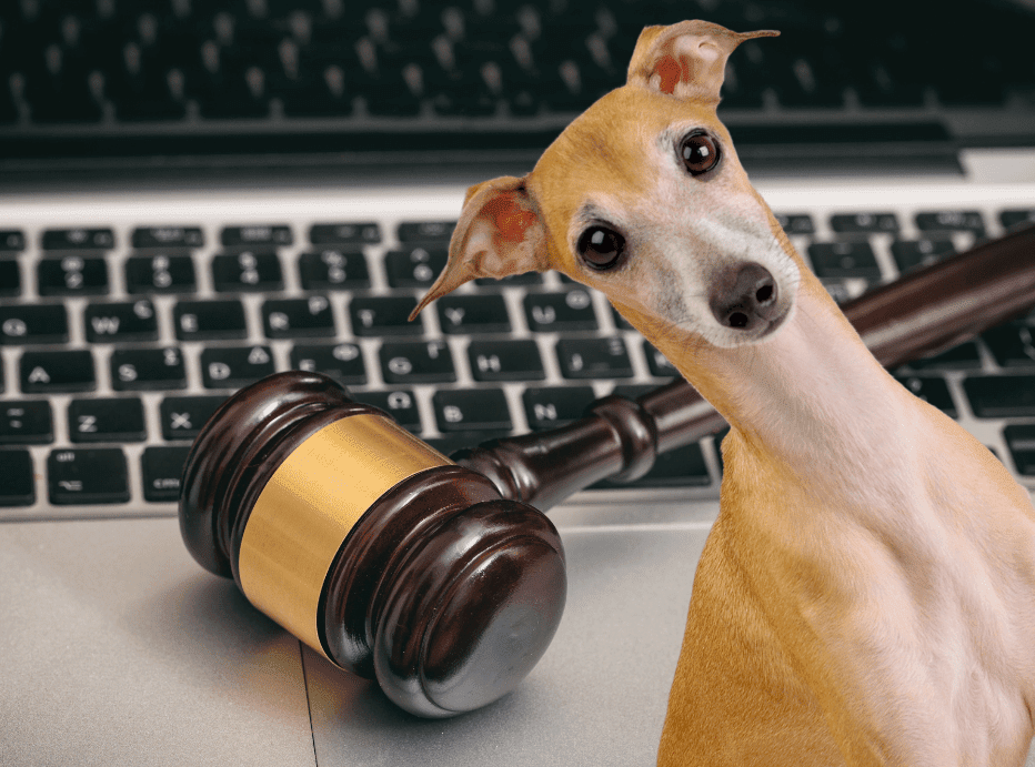 whippet in front of keyboard and auctioneers hammer