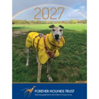 2027 Sighthound Charity Calendar