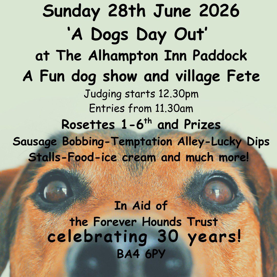 poster with dog and info