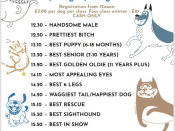 paws in the pub poster
