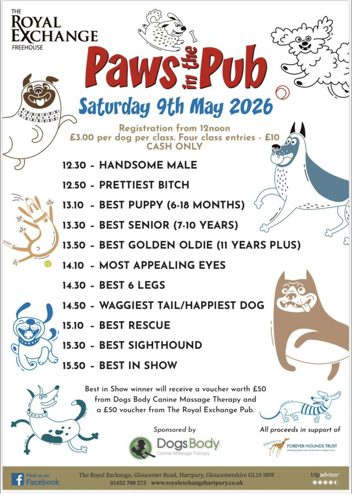 paws in the pub poster