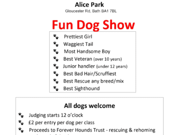 Poster of activities for dog show