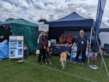 stall with people and sighthounds