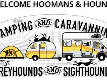 Cartoon image of sighthounds in caravans