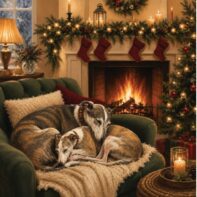 Greyhound Christmas cards – two greyhounds curled up together by a cosy Christmas fire