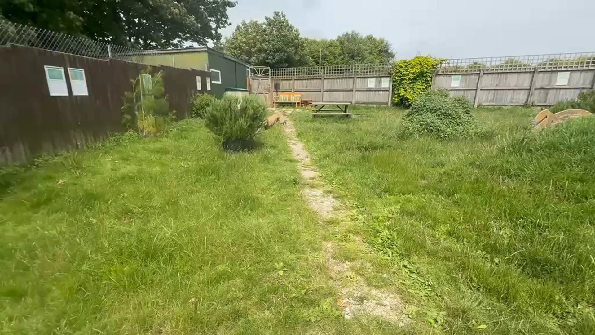 Forever Hounds Trust