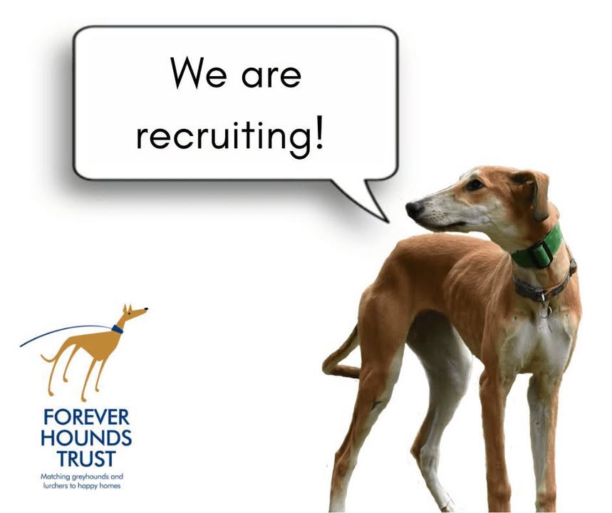 Forever Hounds Trust