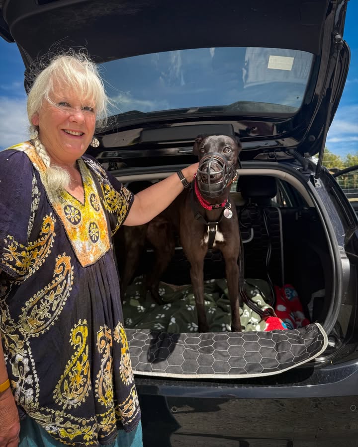 Forever Hounds Trust