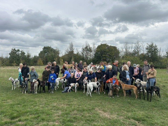 Forever Hounds Trust