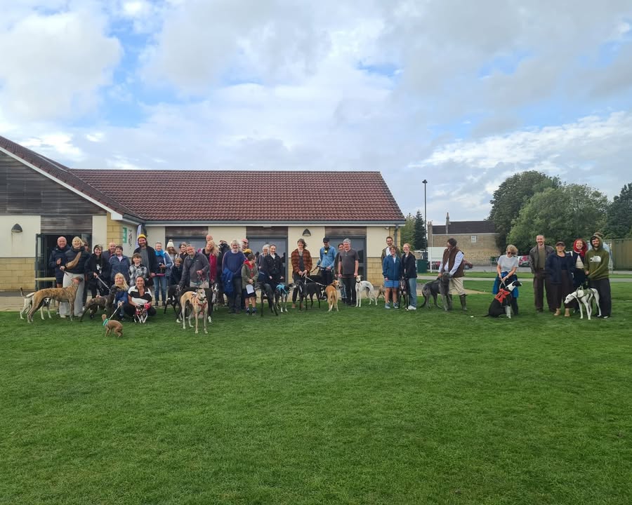 Forever Hounds Trust
