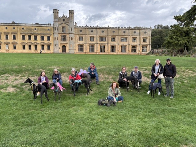 Forever Hounds Trust